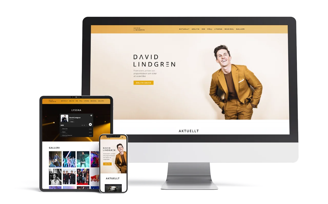 DavidLindgren_mockup